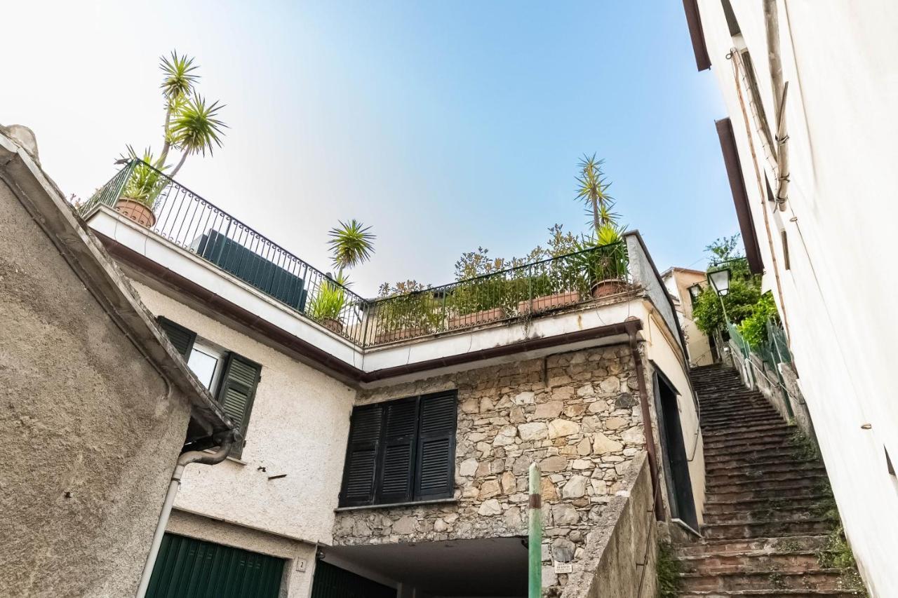 Apartment Cozy Terrace In Free Parking